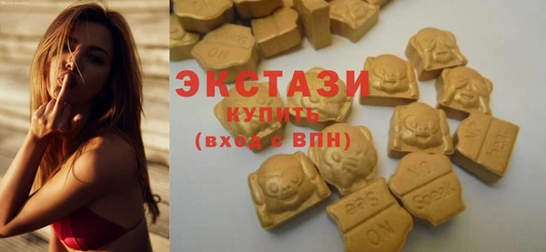 мдпв Краснослободск