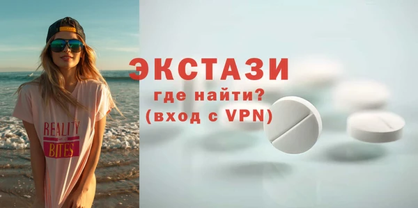 мдпв Краснослободск