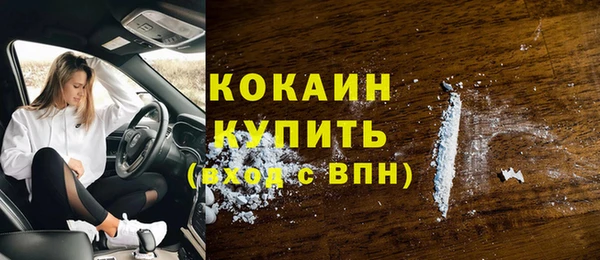 мдпв Краснослободск